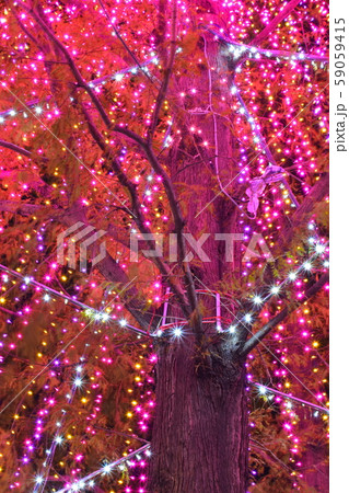 ピンクツリー 59059415