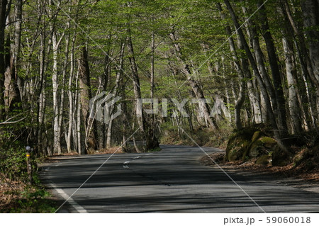 国道102号 国道102号 59060018