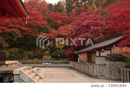 日野市高幡不動尊 五重塔と紅葉 日野市高幡不動尊 五重塔と紅葉 59062684