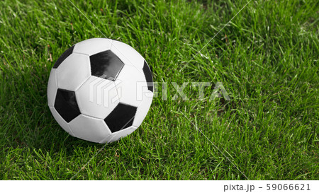 Soccer or football ball on soccer field. 59066621