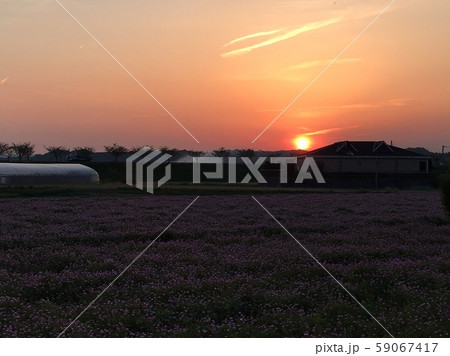 春の夕景 春の夕景 59067417