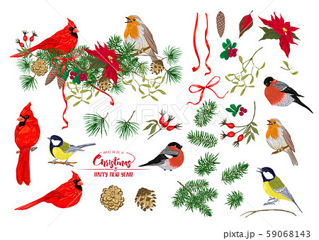 Birds and Christmas wreath set Birds and Christmas wreath set 59068143