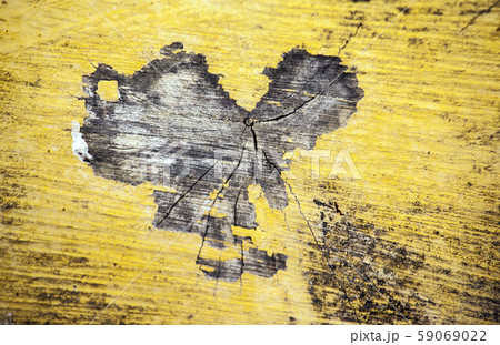 old sharp tree stub background 59069022