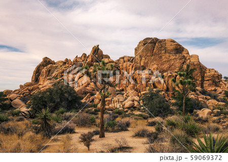 Desert trail in Joshua Tree National Park, 59069372