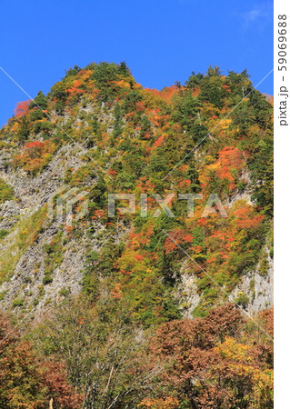 秋山郷の秋 錦秋の布岩 秋山郷の秋 錦秋の布岩 59069688