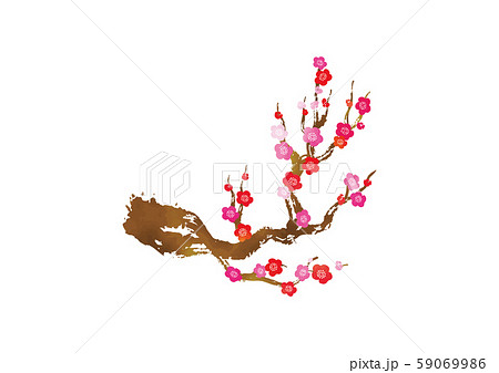 梅の枝水彩イラストのイラスト素材