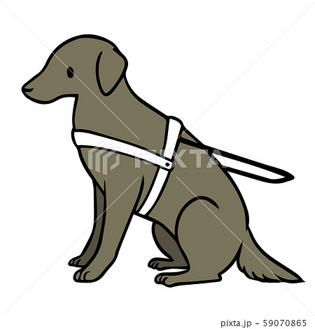 シンプルな盲導犬のイラスト 黒 のイラスト素材