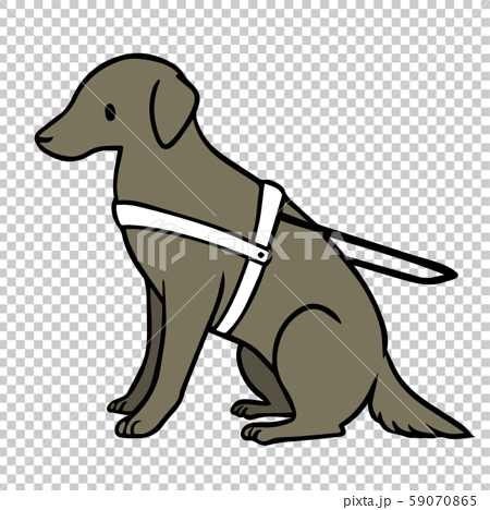 シンプルな盲導犬のイラスト 黒 のイラスト素材