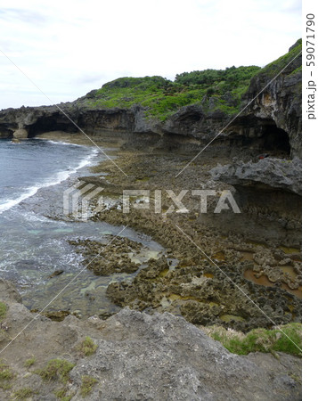 犬の門蓋（徳之島） 59071790