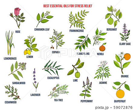 Best essential oils for stress relief 59072876