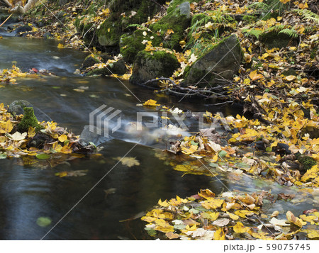 Long exposure magic forest stream cascade creek in Long exposure magic forest stream cascade creek in 59075745