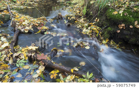 Long exposure magic forest stream cascade creek in Long exposure magic forest stream cascade creek in 59075749
