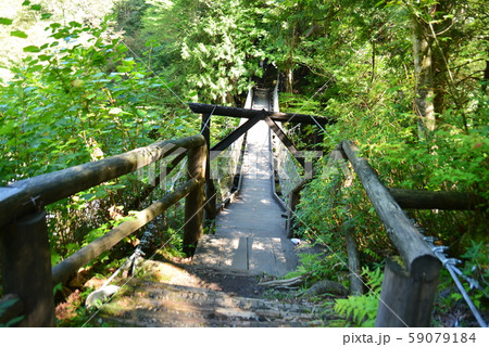 阿寺川に架かる中八丁吊り橋 阿寺川に架かる中八丁吊り橋 59079184