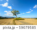 小墾田宮 59079585