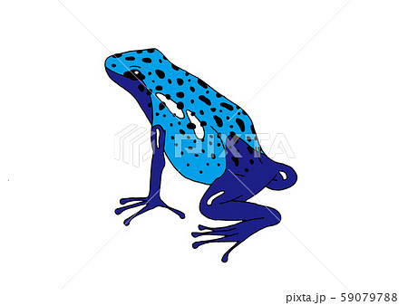 青いカエル コバルトヤドクガエルのイラスト素材