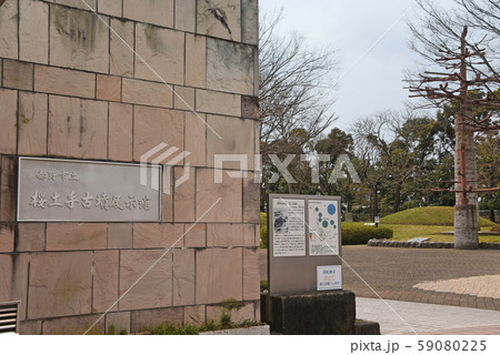 桜土手古墳公園 桜土手古墳公園 59080225