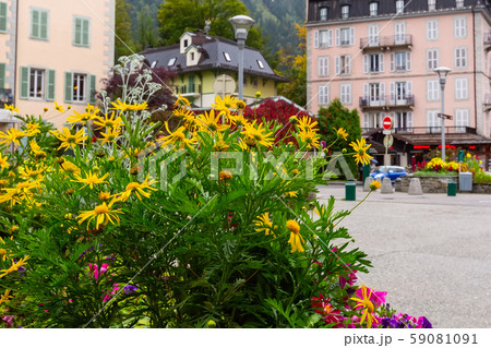 Houses, flowers in center of Chamonix, France 59081091