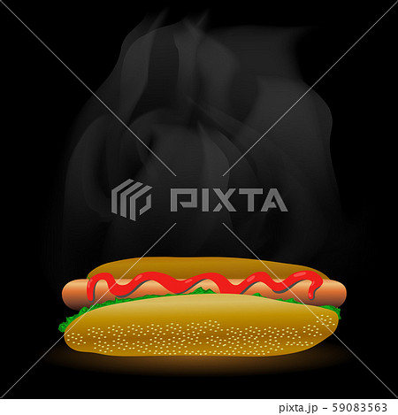 Street Fast Food. Fresh Hot Dog. Unhealthy High Calorie Meal 59083563