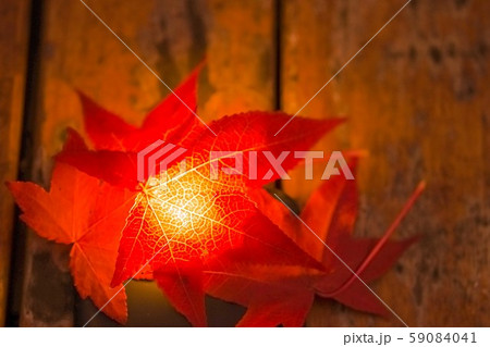autum leaves background autum leaves background 59084041