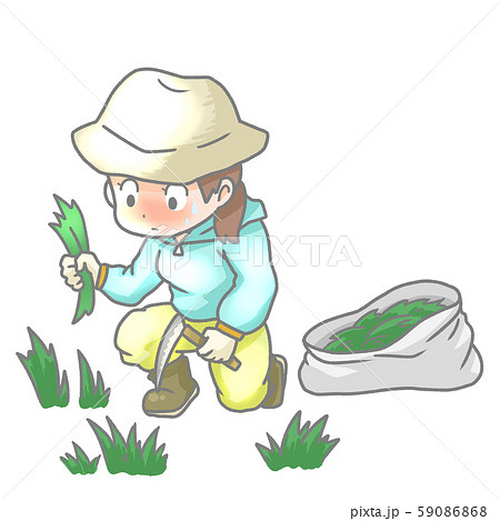 草むしりをする女性のイラスト 59086868