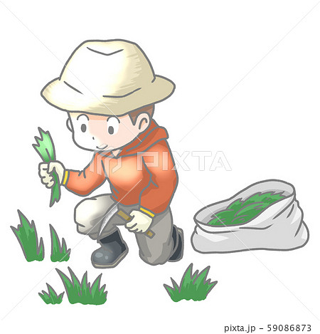 草むしりをする男性のイラストのイラスト素材