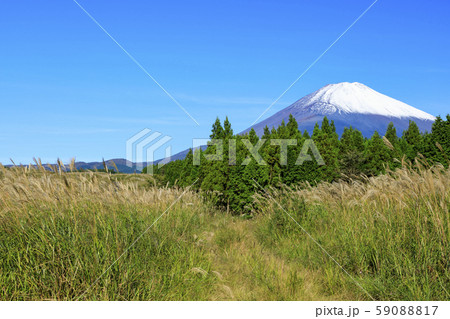 富士山（秋） 59088817