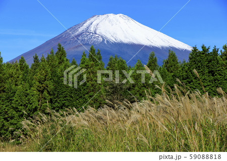 富士山(秋) 富士山(秋) 59088818