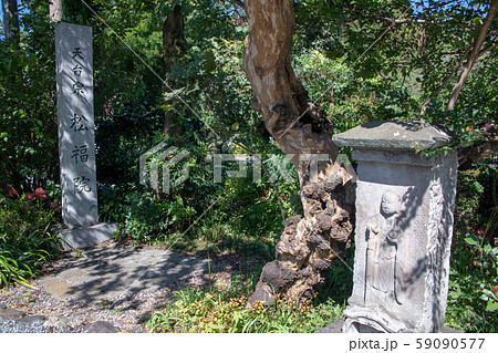 松福院　福正寺　埼玉県日高市 59090577