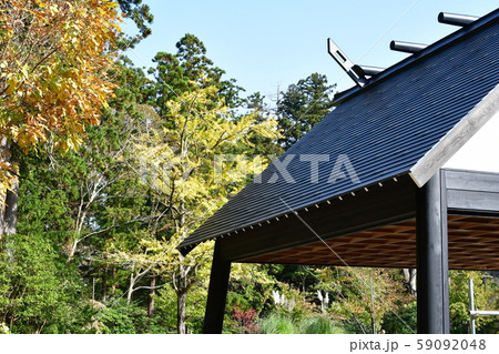 秋の弥彦神社 パワースポット 秋の弥彦神社 パワースポット 59092048