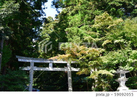 秋の弥彦神社　パワースポット 59092055