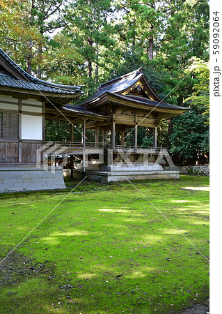 秋の弥彦神社　パワースポット 59092064