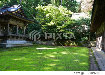 秋の弥彦神社　パワースポット 59092066