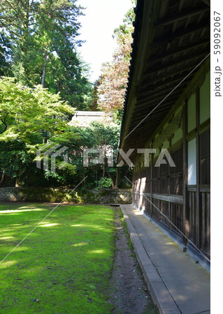 秋の弥彦神社　パワースポット 59092067