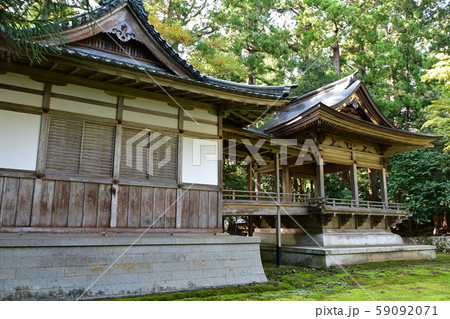 秋の弥彦神社　パワースポット 59092071