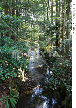 秋の弥彦神社　パワースポット 59092101