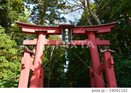 秋の弥彦神社 パワースポット 秋の弥彦神社 パワースポット 59092102