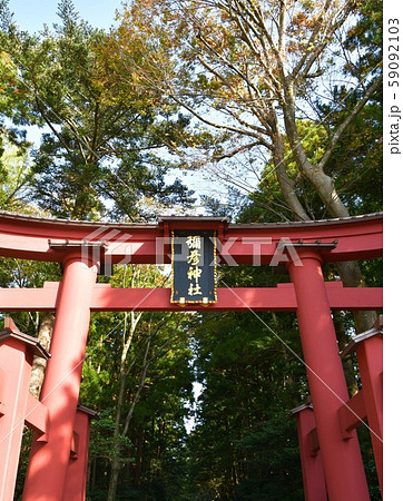 秋の弥彦神社 パワースポット 秋の弥彦神社 パワースポット 59092103