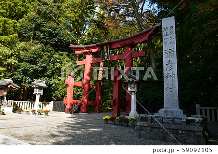 秋の弥彦神社　パワースポット 59092105
