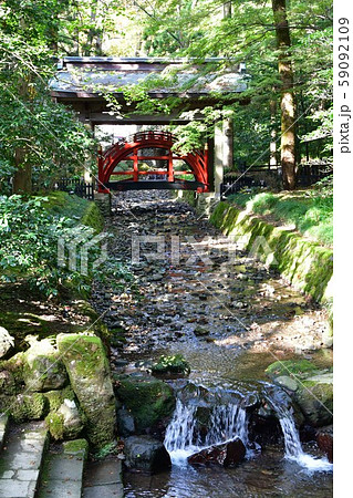 秋の弥彦神社　パワースポット 59092109