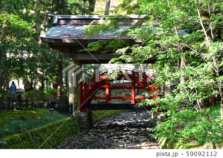 秋の弥彦神社　パワースポット 59092112