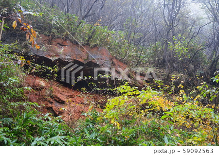 10月　ﾁｬﾂﾎﾞﾐｺﾞｹ公園19群馬鉄山の褐鉄鉱･ﾗﾑｻｰﾙ条約登録 59092563