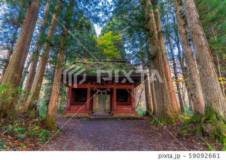 戸隠神社　随神門　秋　【長野県】 59092661
