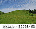 車山高原のニッコウキスゲ 59093463