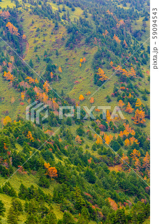 志賀高原の紅葉 志賀高原の紅葉 59094543