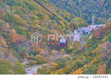 群馬県みなかみの紅葉真っ盛りの谷川岳ロープウェイ 群馬県みなかみの紅葉真っ盛りの谷川岳ロープウェイ 59095491