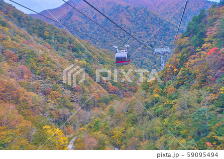 群馬県みなかみの紅葉真っ盛りの谷川岳ロープウェイ 群馬県みなかみの紅葉真っ盛りの谷川岳ロープウェイ 59095494
