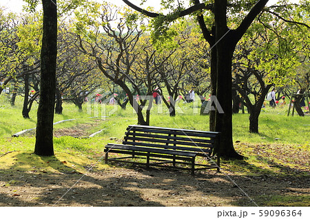 万博記念公園【 自然文化園 】　大阪府吹田市 59096364