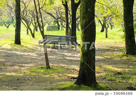 万博記念公園【 自然文化園 】 大阪府吹田市 万博記念公園【 自然文化園 】 大阪府吹田市 59096366