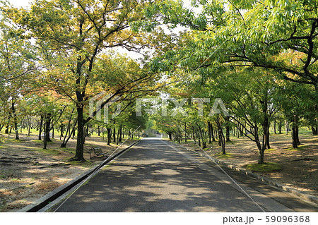 万博記念公園【 自然文化園 】　大阪府吹田市 59096368