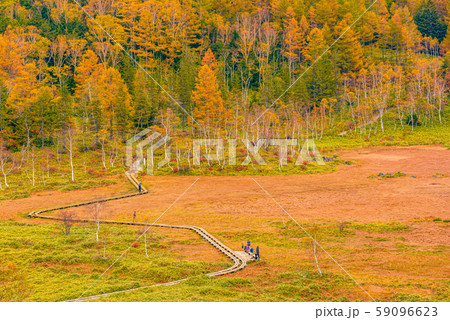 田ノ原湿原の紅葉 長野県志賀高原 の写真素材